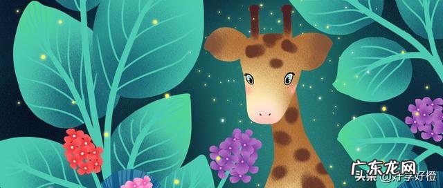 以夏天为主题写一篇作文 关于夏天的作文有哪些