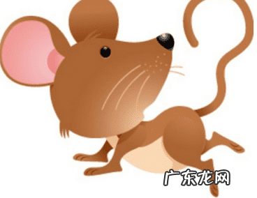 1973年属牛的财运方向 1973年农历4月18属牛养鱼风水