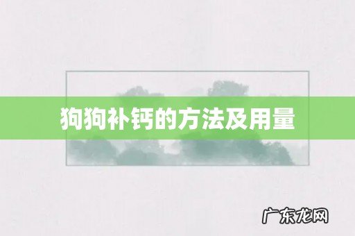 狗狗补钙的方法及用量