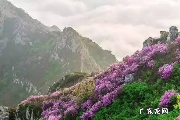 大连碧海山庄狐仙洞 大连湾狐仙洞地址