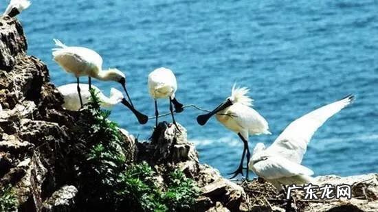 大连碧海山庄狐仙洞 大连湾狐仙洞地址