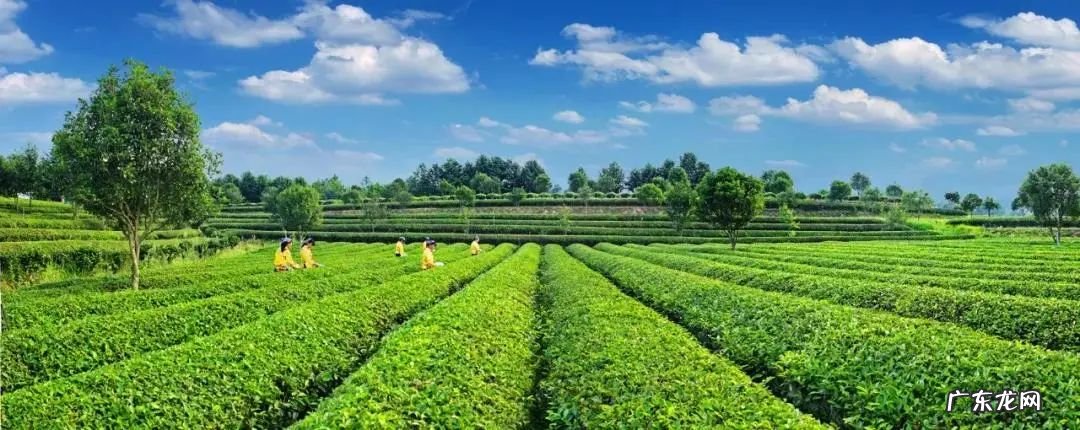 风水福地等福人 风水福地长沙