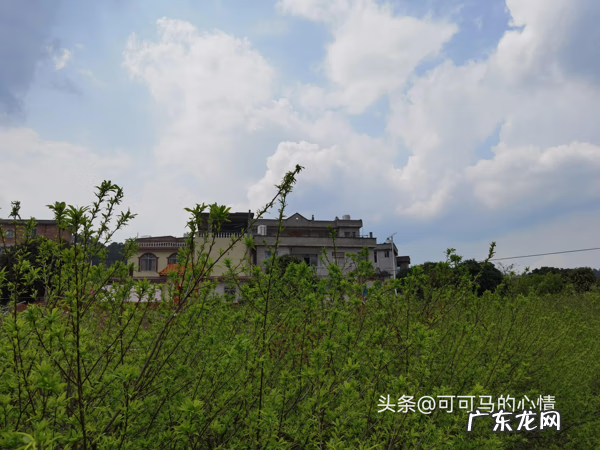 大姓和小姓的人是不是不能在一起 大姓不宜找小姓