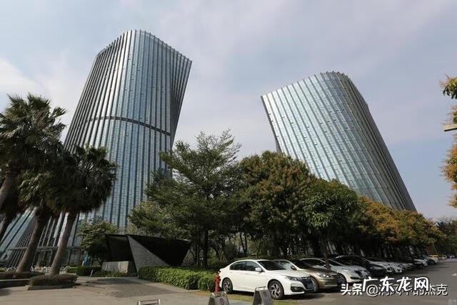 辞职报告怎么样写呢 辞职报告如何写内容