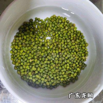 绿豆芽是怎么发的 绿豆芽怎么发豆芽的步骤