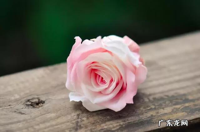 孑子怎么读 孑怎么读组词