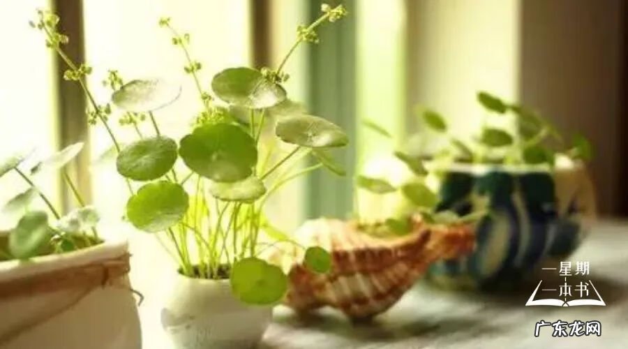 学风水好不好 教养比风水好吗