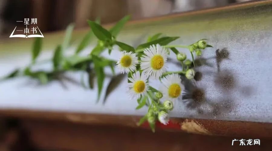 学风水好不好 教养比风水好吗