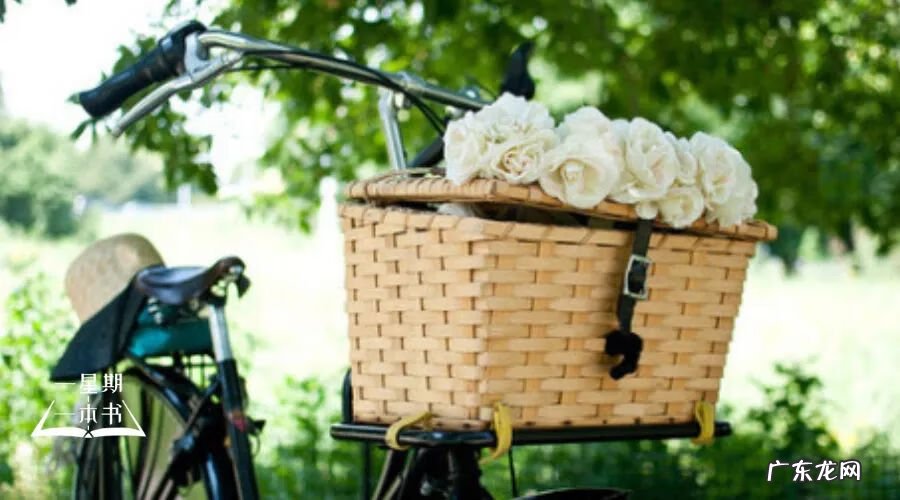 学风水好不好 教养比风水好吗