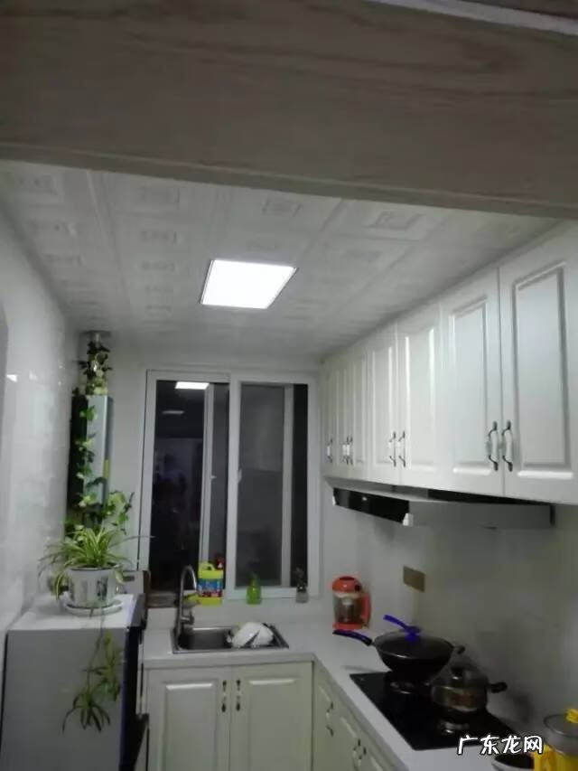 假藤条挂家里好吗 家里用假藤条装饰好吗