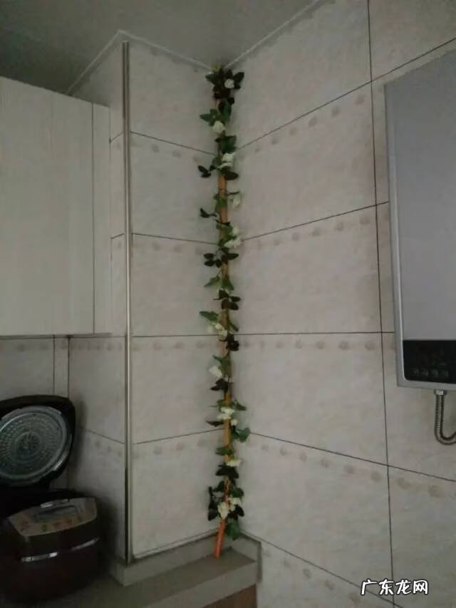 假藤条挂家里好吗 家里用假藤条装饰好吗