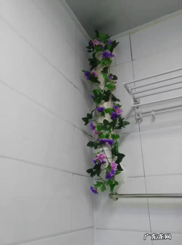 假藤条挂家里好吗 家里用假藤条装饰好吗