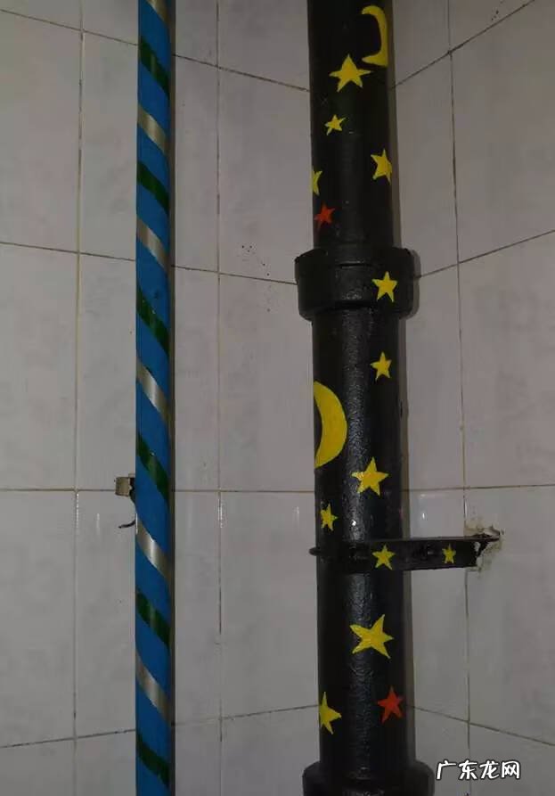 假藤条挂家里好吗 家里用假藤条装饰好吗