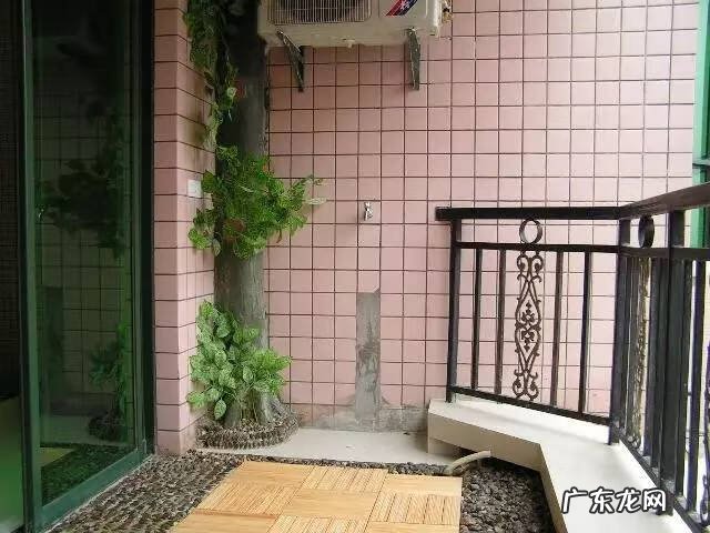 假藤条挂家里好吗 家里用假藤条装饰好吗