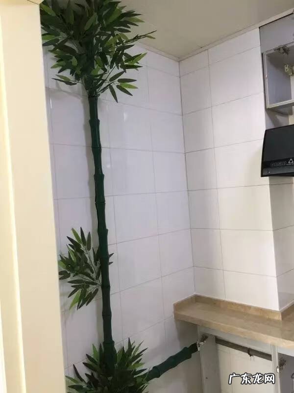 假藤条挂家里好吗 家里用假藤条装饰好吗