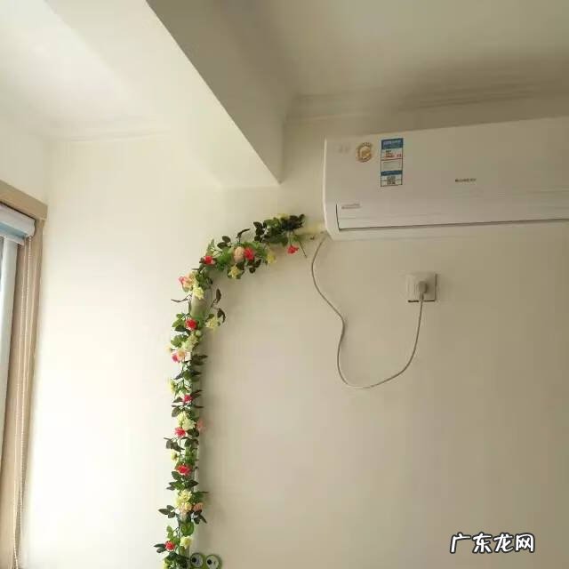 假藤条挂家里好吗 家里用假藤条装饰好吗