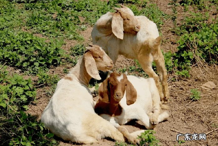 浐灞半岛小区怎么样 浐灞半岛风水怎么样