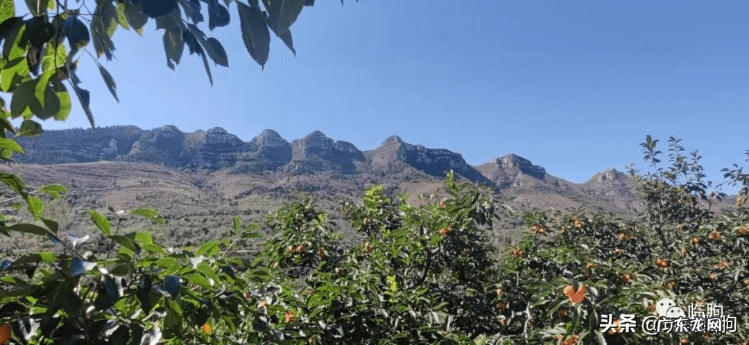 临朐有会看风水的吗 有关临朐风水的传说