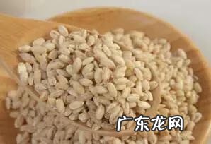 五谷杂粮都指什么 五谷杂粮指的什么?