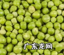 五谷杂粮都指什么 五谷杂粮指的什么?