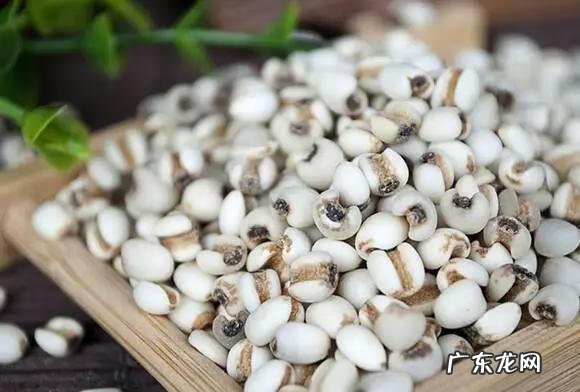 五谷杂粮都指什么 五谷杂粮指的什么?