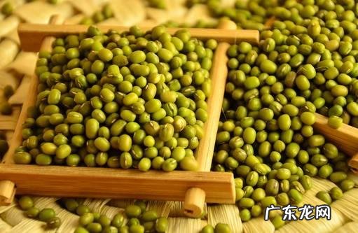 五谷杂粮都指什么 五谷杂粮指的什么?