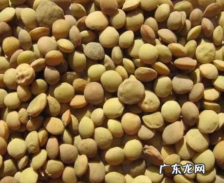 五谷杂粮都指什么 五谷杂粮指的什么?