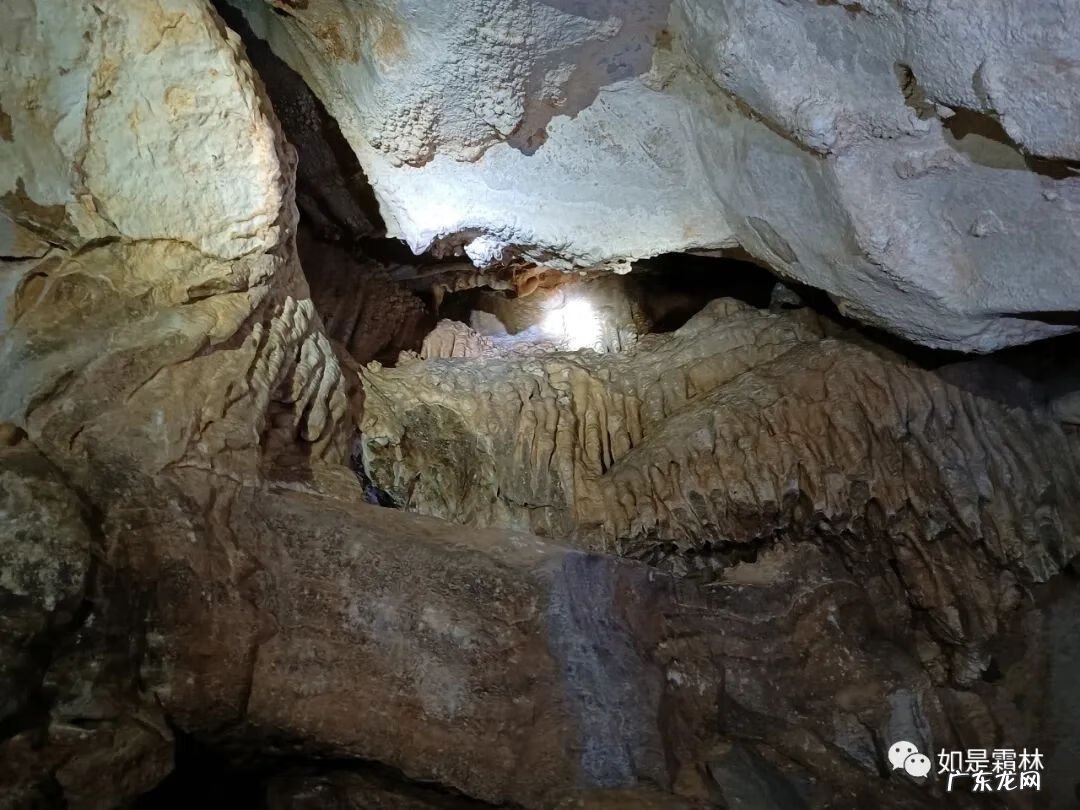 虎头图案的风水作用 卧虎抬头风水物
