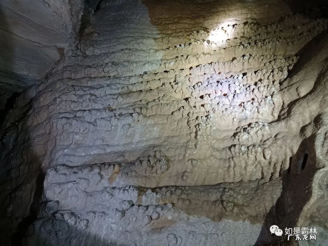 虎头图案的风水作用 卧虎抬头风水物