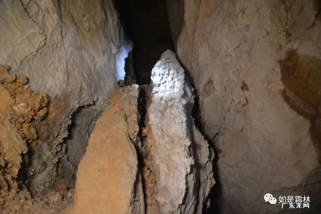 虎头图案的风水作用 卧虎抬头风水物