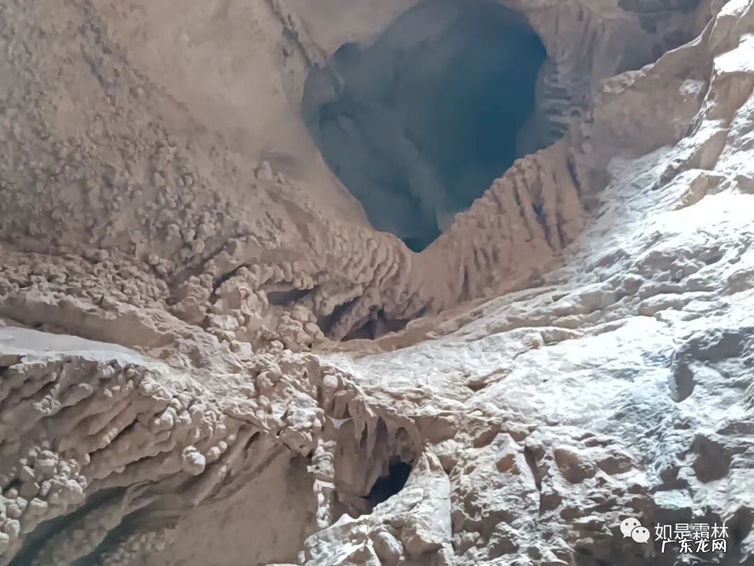 虎头图案的风水作用 卧虎抬头风水物