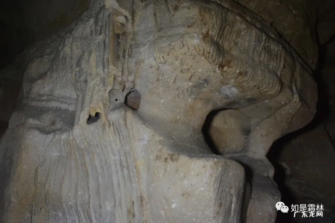 虎头图案的风水作用 卧虎抬头风水物