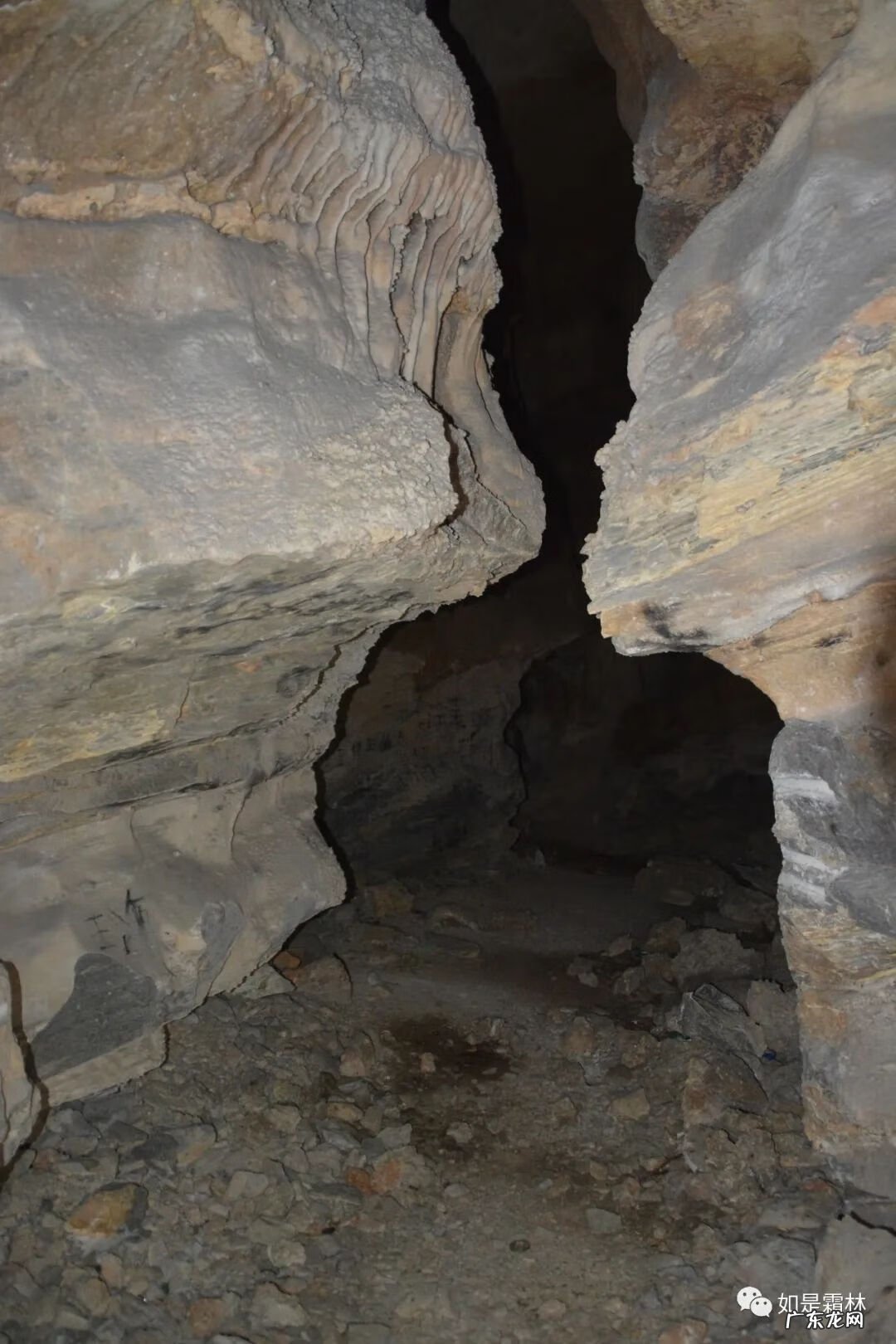 虎头图案的风水作用 卧虎抬头风水物