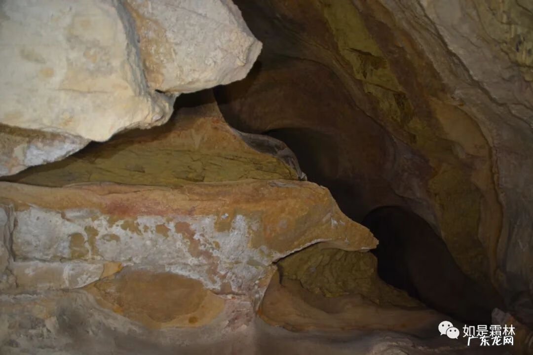 虎头图案的风水作用 卧虎抬头风水物