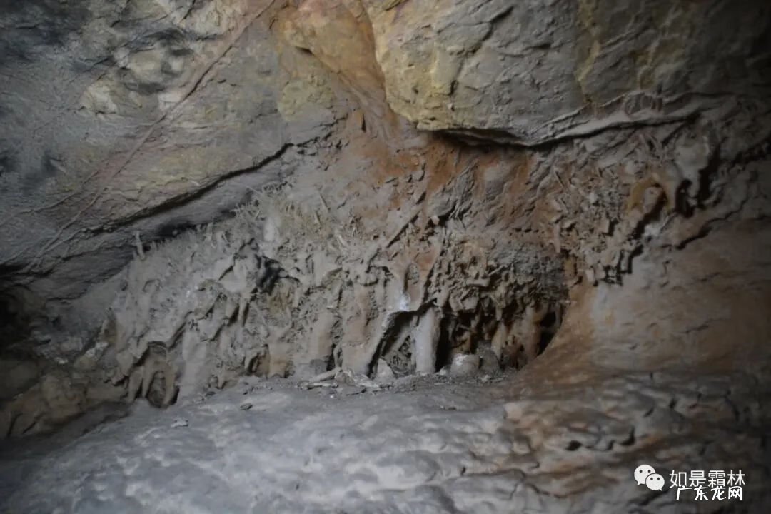 虎头图案的风水作用 卧虎抬头风水物