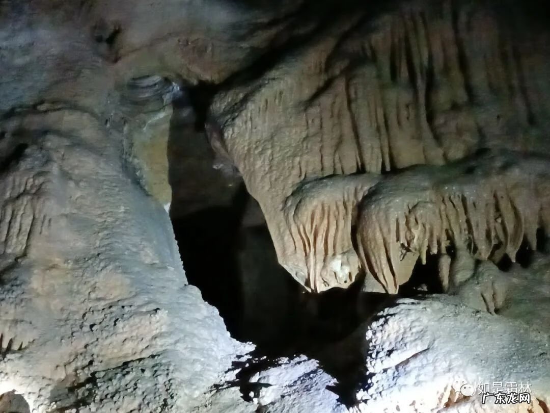 虎头图案的风水作用 卧虎抬头风水物