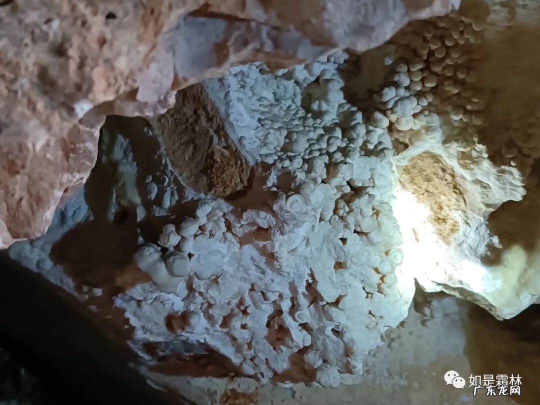 虎头图案的风水作用 卧虎抬头风水物