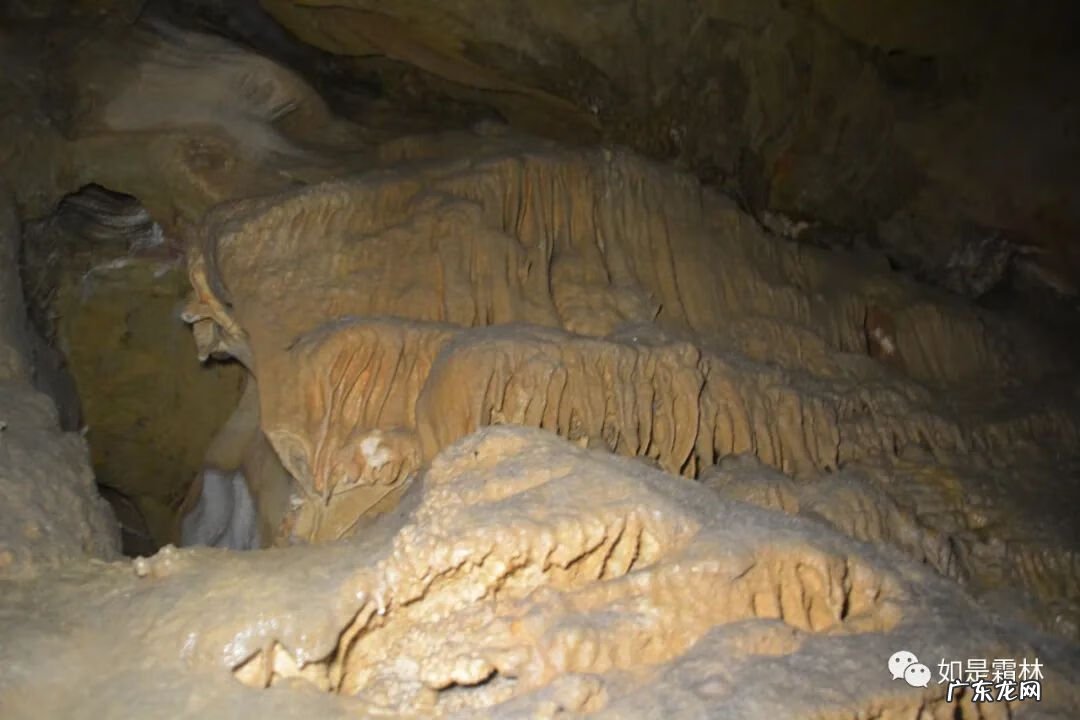 虎头图案的风水作用 卧虎抬头风水物