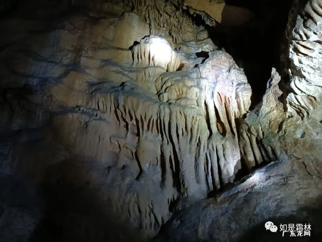 虎头图案的风水作用 卧虎抬头风水物