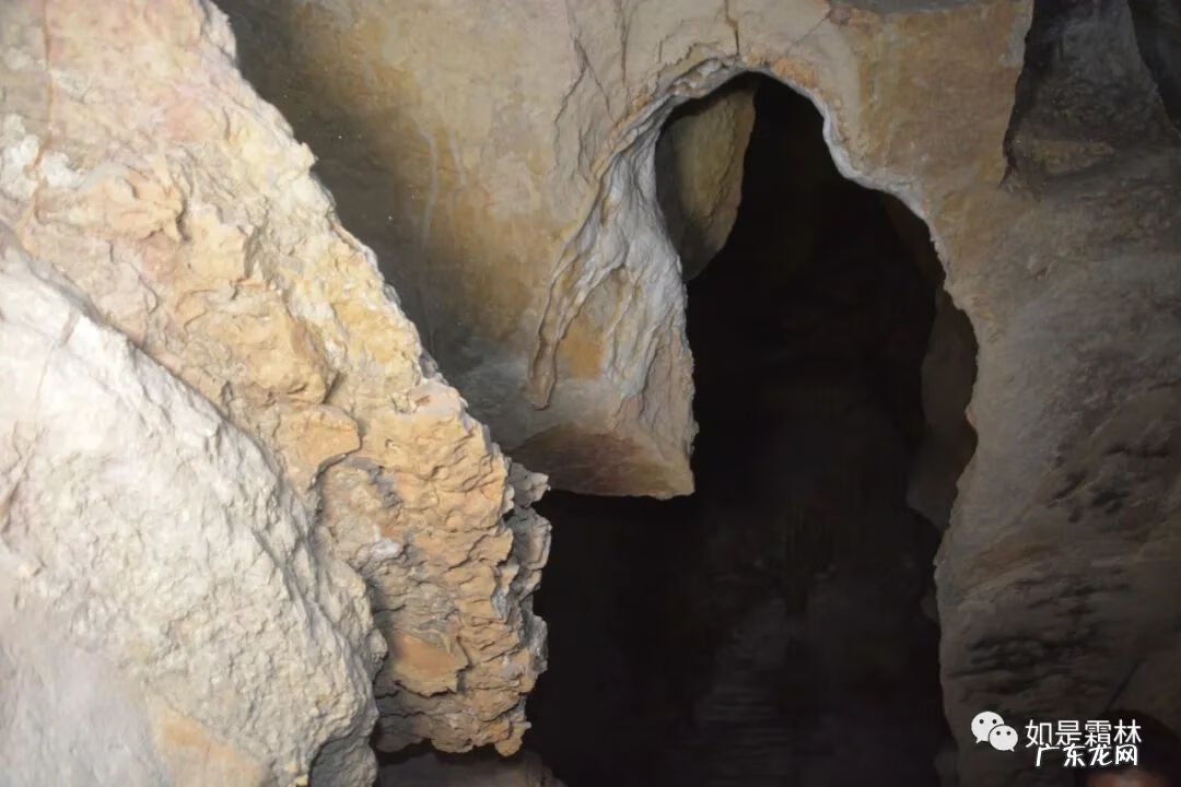 虎头图案的风水作用 卧虎抬头风水物