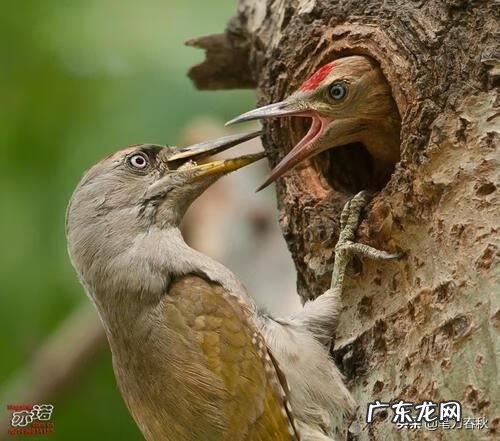 汪国真的爱情诗歌大全 汪国真 爱情诗