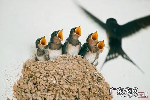 汪国真的爱情诗歌大全 汪国真 爱情诗