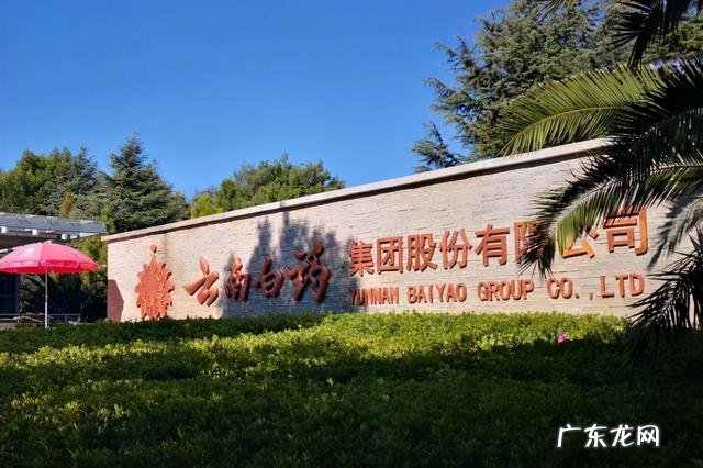 云南白药外用配方 云南白药配方是谁发明的