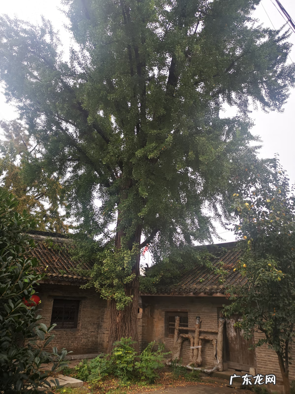 风水大师 郭 郭姓风水大师叫什么