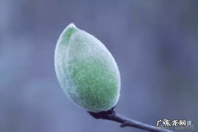 风水上说的三尖八角的房子 盖八角楼在风水学上需要向至吗