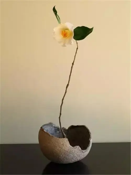 插花配文案 插花的文案