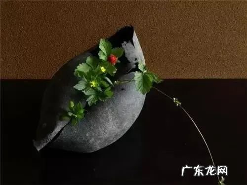 插花配文案 插花的文案