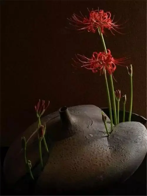 插花配文案 插花的文案