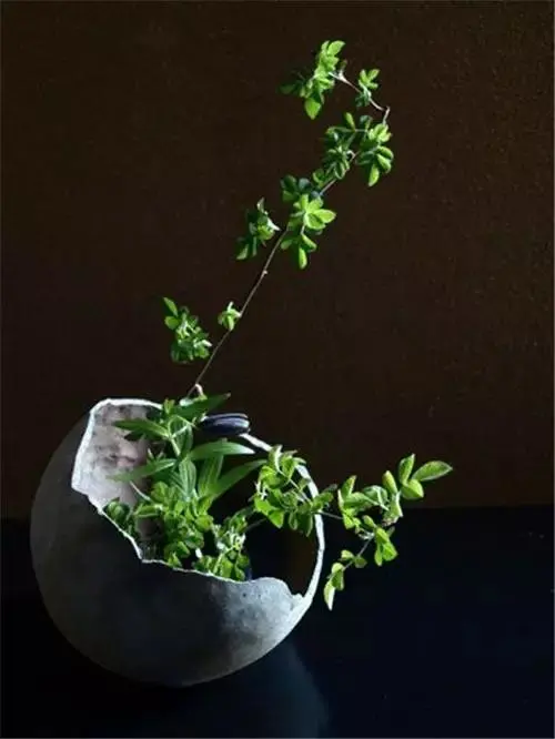 插花配文案 插花的文案