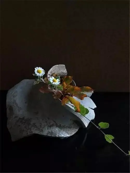 插花配文案 插花的文案